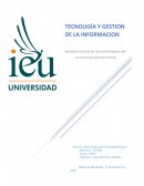 LSM Plataformas digitales