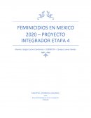 FEMINICIDIOS EN MEXICO