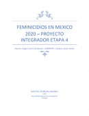 FEMINICIDIOS EN MEXICO