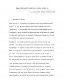 TRANSFORMACIÓN DIGITAL: CASO PACASMAYO