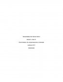 Administrador de compensaciones y bienestar