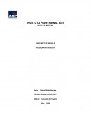 Actividad Práctica-Semana 4: Estructura Organizacional