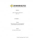 Análisis y Diagnóstico Organizacional