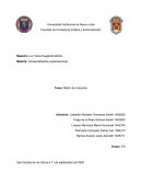 Matriz de inducción