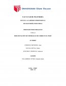 BIOLIXIVIACIÓN DE MINERALES DE COBRE EN EL PERÚ