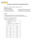 VIRTUAL REPORTE PRESION HIDROSTATICA