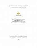 ANÁLISIS MACRO ENTORNO Y MICRO ENTORNO MAC POLLO