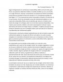 Ensayo la solucion inagotable