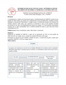 INFORME DE RECOLECCIÓN DE GASES - DETERMINACIÓN DE BICARBONATO DE SODIO A PARTIR DE LA GENERACIÓN CO2