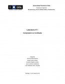 Laboratorio N° 1 Compresión no Confinada