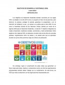 OBJETIVOS DE DESARROLLO SOSTENIBLE