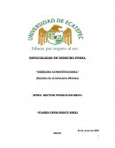 Análisis Iniciativa Mérida