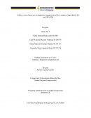 Informe sobre el proceso de diagnóstico organizacional de la empresa Seguridad al día con EPP JPDC