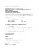 Taller homeopatico ingles