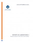 PRUEBAS DE MAQUETA ESTRUCTURAL A BASE DE BARRAS