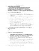 Taller la organización