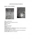 LABORATORIO DE MATERIALES POLIMERICOS