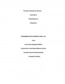 FUNDAMENTOS DE DERECHO NRC 3371