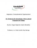 Evidencia de aprendizaje. Clima laboral y equipos de trabajo