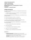 INTRODUCCION A LA PSICOPEDAGOGIA Y PRACTICA PROFESIONAL I