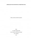 Medidas efectivas para reducir los siniestros viales