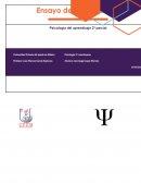 Aprendizaje y cognicion