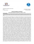 Desarrollo esperado - Salud Mental