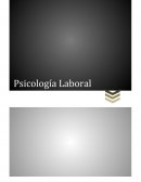 Psicologia Laboral