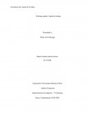 El ciclo del capital de trabajo