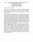 DISEÑO DEL PROCESO NO CONVENCIONAL PARA OBTENER TEJAS CORRUGADAS CEMENTICIAS REFORZADAS CON FIBRA DE FIQUE