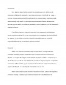 Ensayo de desarrollo sustentable