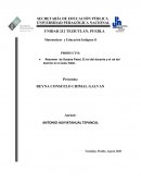 Resumen de Susana Pasel, El rol del docente y el rol del alumno en el Aula-Taller