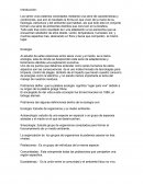 Ensayo Ecologia