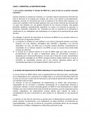 CASO COSENTINO, LA GESTION DE RRHH