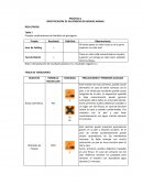 Identificación de glucógeno en hígado animal