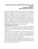 Ensayo Etapa Doméstica del cuidado enfermero