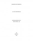 Fundamentacion ambiental