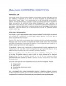 CÉLULA MADRE HEMATOPOYÉTICA Y HEMATOPOYESIS