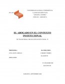 El abogado en el contexto institucional