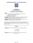 CÁLCULO IV TRABAJO PRÁCTICO Nº2