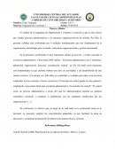 Ensayo Silabo organizacion y sistemas