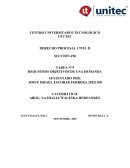 Requisitos Objetivos de una Demanda