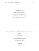 Grafica “Sistemas de Información”