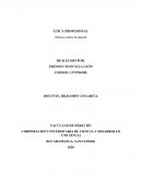 TALLER No.2 - ENSAYO Un ser moral