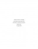 Tarea 1 formulacion y evaluacion de proyectos