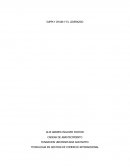 TECNOLOGIA EN GESTION DE COMERCIO INTERNACIONAL