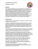 Practica 1. Densidad de una sustancia. FISICA II