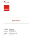 CApital Humano