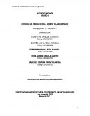 COSTOS DE PRODUCCIÓN A CORTO Y LARGO PLAZO