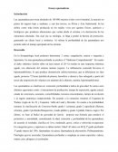 Ensayo quemaduras